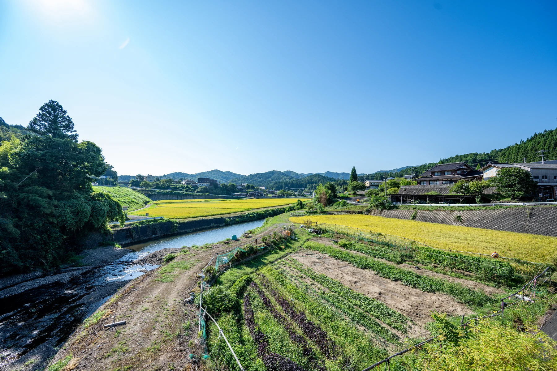 京丹波の田畑と川が広がる風景