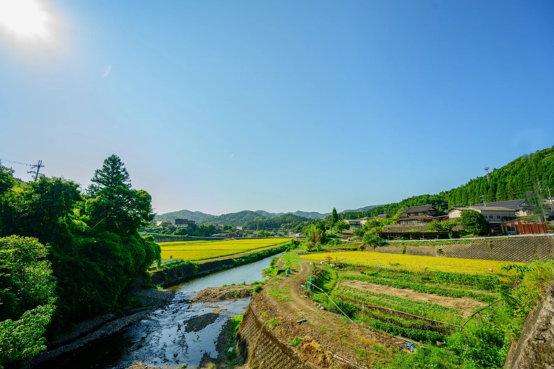 京丹波の川と田畑、緑の山々が広がる風景